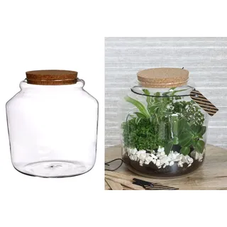 NaDeco Pflanzen-Terrarium aus Glas, mit Korken, in Zwei Größen wählbar | Pflanzenterrarium | Flaschengarten | Glas Terrarium für Pflanzen | Biosphären-Glas | Pflanzenglas, Größe:Ø18 h.18 cm