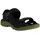 Black Acorn 42