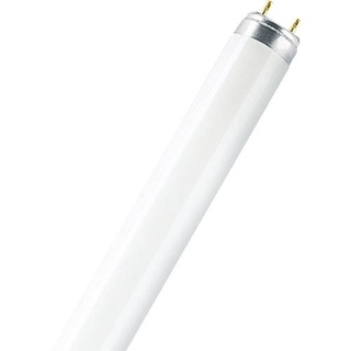 osram homelighting LUMILUX INTERNA 36W G13 (325699)
