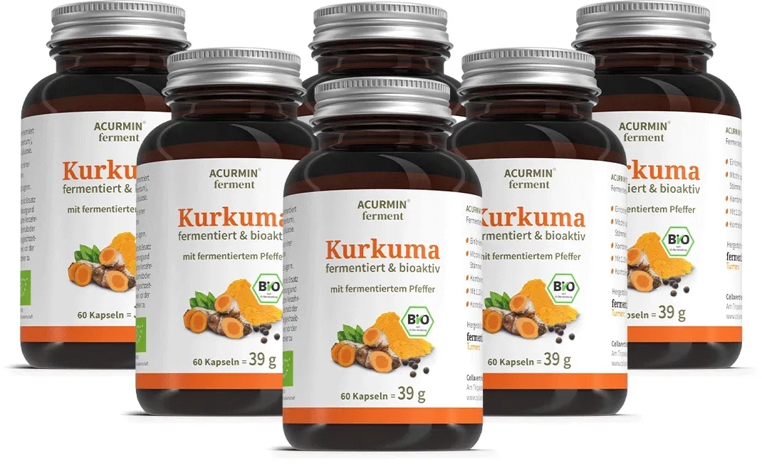 Bio Kurkuma Kapseln 1.100mg + fermentierter Pfeffer 6 Monate