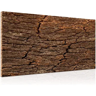 3D - Korkrückwand AUS EINEM STÜCK Kork-Rinde 60x30 cm | gereinigt & desinfiziert | Naturkork-Rückwand für Terrarium, Paludarium, Aquarium