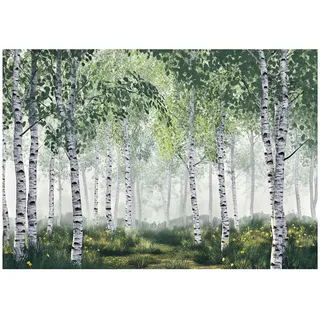 WallArena Fototapete Birkenwald in Grün | Gr.: 150 x 105 cm