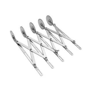 Schneider Teigschneider, einfach, 5 Rädchen, gezackt