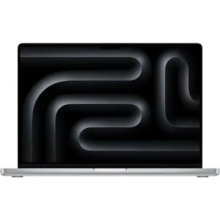 2024 M4 Max 48 GB RAM 1 TB SSD 40-Core GPU Silber