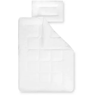 Julius Zöllner Basic,