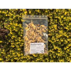 Bio Austernpilze getrocknet, DE-ÖKO-021, 20 g