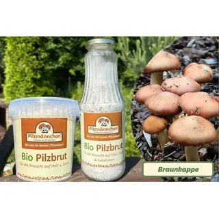 Braunkappen-Pilzbrut BIO 1 Liter