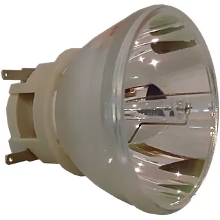 Nackte Philips Lampe BENQ MH733 NLMP24542