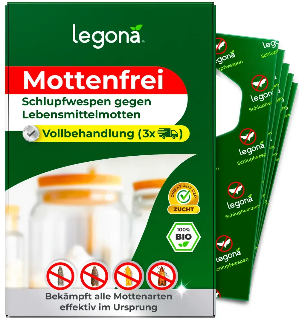Schlupfwespen gegen Lebensmittelmotten