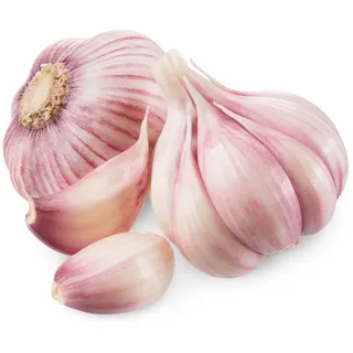 Hymor Violetter Knoblauch 5kg Ajo Morado spanischer Knoblauch aus Las Pedroñeras - 5 kg