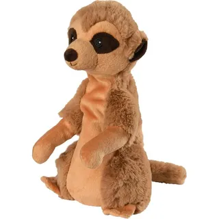 Erdmännchen