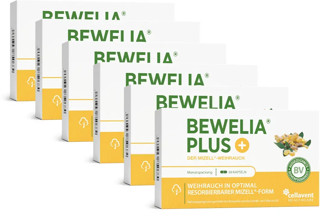 Mizell Weihrauch Kapseln - Bewelia PLUS 6 Monate