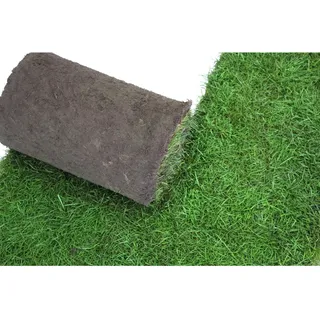 Premium-Rollrasen Bestellmenge 250 m2