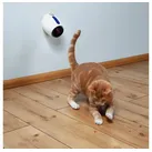 Laserpointer Moving Light