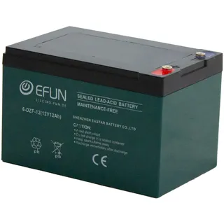 Efun Akku 6-DZF-12 12 Ah passend für Elektro Fahrzeuge