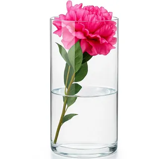 KONZEPT Tischvase Zylinder Glasvase (16 cm; H:30 cm), große Vase Glas (1 St), moderne Blumenvase, transparente Glaszylinder, Glasvase für Blumen