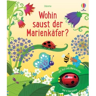 Usborne Verlag Wohin saust der Marienkäfer?