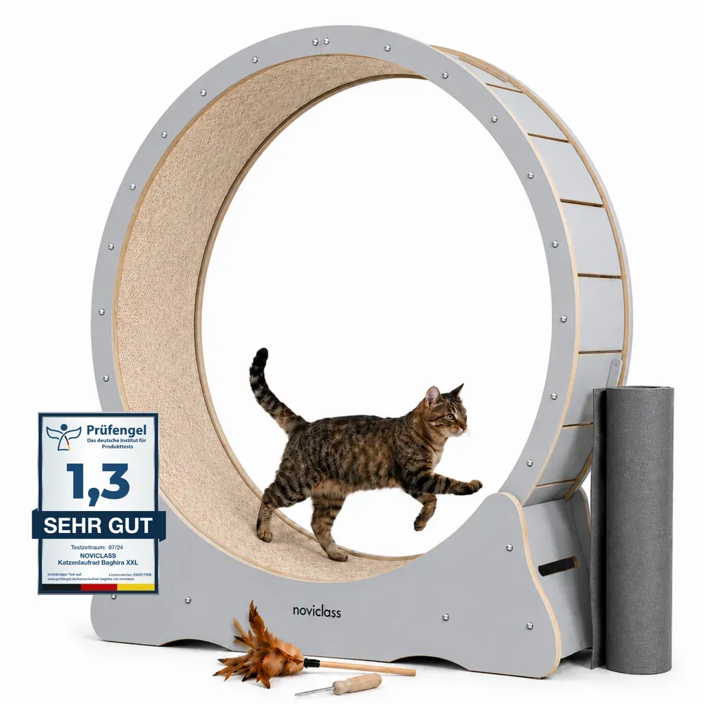 Katzenlaufrad 'Baghira' XXL Groß 120cm Innendurchmesser