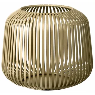 champagne, metallic finish S