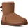 Rocky Oak 38