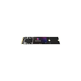 GAMERKING SSD M.2 2280 64GB Ngff internes Solid State Drive 1TB 512gb 256gb 128gb für Desktop-Laptops SATA III 6 Gb/s Hochleistungs Festplatte(64GB, M.2 2280)