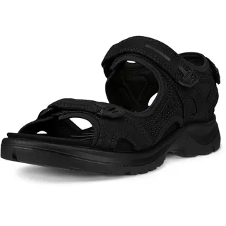 black 41