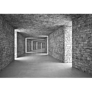 Wallarena Fototapete Grau, Querformat, Wohnzimmer, glatt, Grau, 100x70cm grau 1.0 m x 0.7 m