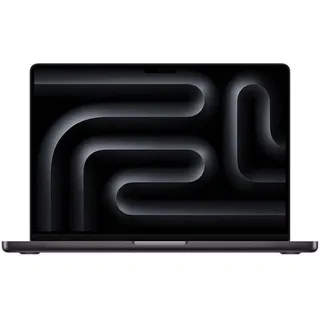 2024 M4 Pro 24 GB RAM 2 TB SSD 20-Core GPU Space Schwarz