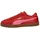 Candy Apple / Magic Rose 36