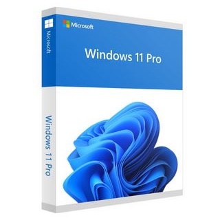 Microsoft Windows 11 Professional ESD Aktivierung telefonisch oder online Online Aktivierung