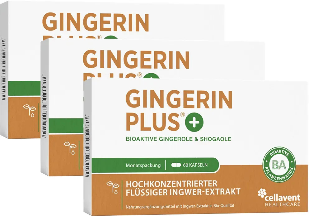 Bioaktiver Ingwer-Extrakt - Gingerin PLUS 3 Monate