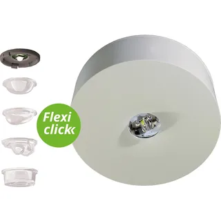 rp-group RP-Technik LED-Sicherheitsleuchte ILDL423SC