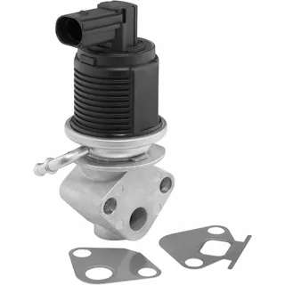 BorgWarner (Wahler) WAHLER AGR-Ventil elektrisch