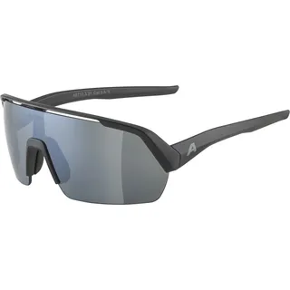 Alpina Turbo HR Sportbrille (Größe One Size, schwarz)