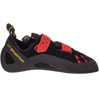 black/poppy 40.5