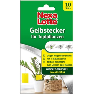 Nexa Lotte Gelbstecker, Gelbsticker, insektizidfreie, beidseitig beleimte Leimfallen zum Schutz von Zierpflanzen, 10 St.