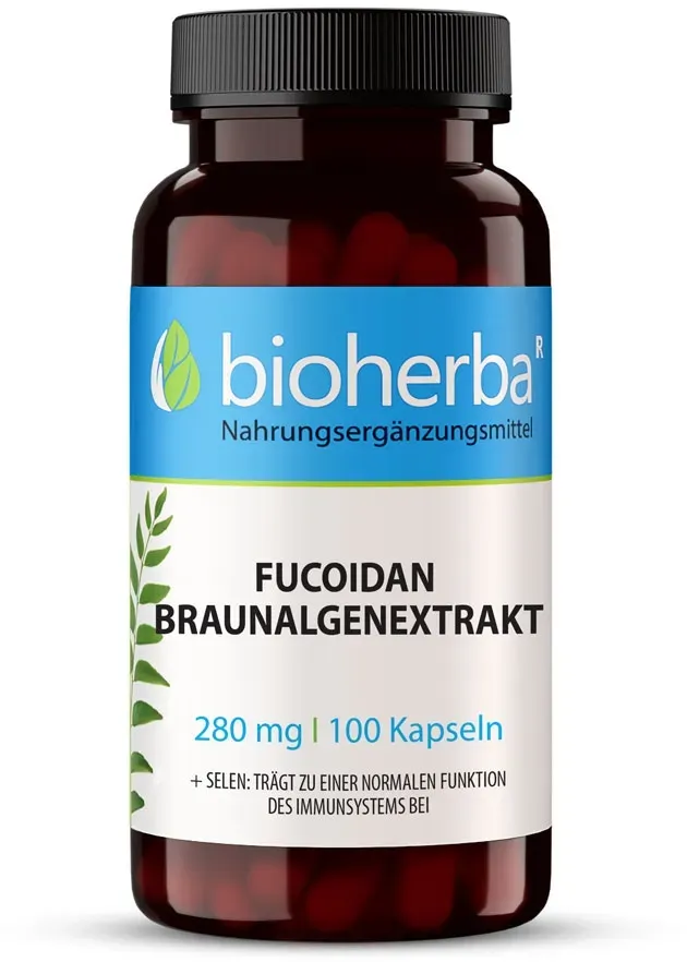 Fucoidan Braunalgenextrakt 280 mg 100 Kapseln