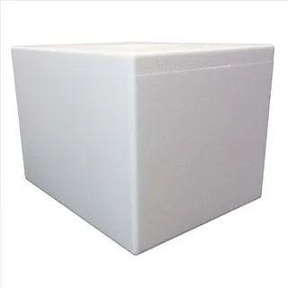 Terra Exotica Styroporbox/Thermobox - 60 Liter - 57 x 45 x 41 cm/Wandstärke 4 cm - Styrobox