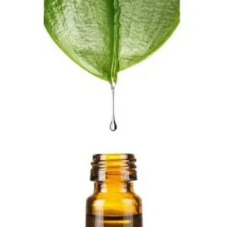 Natriumlaktat 60% ig, 10 Liter von Dragonspice Naturwaren, 10 Liter