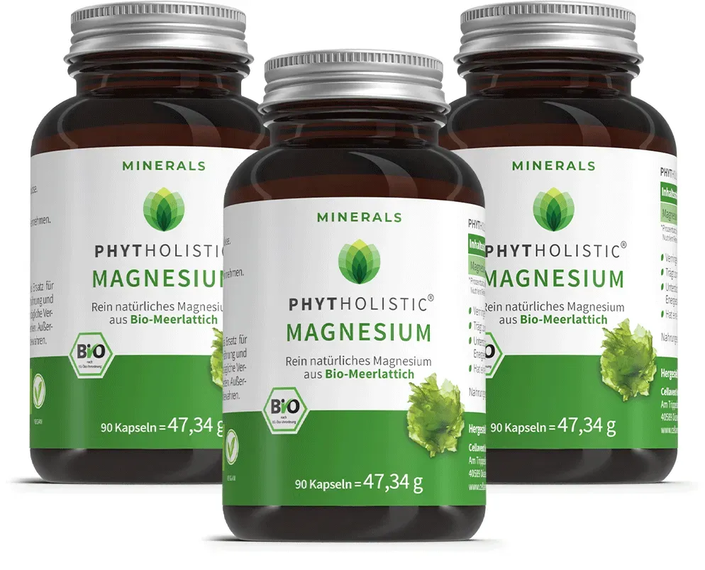 Bio Magnesium Tabletten - Phytholistic Magnesium 3 Monate