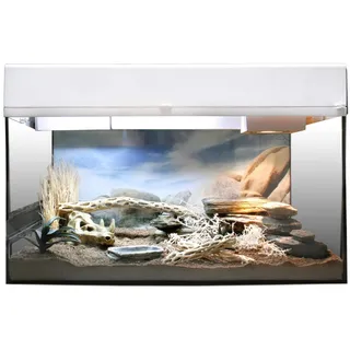 Lucky Reptile Terrarium-Starter Kit 50 x 40 x 28 cm Weiß