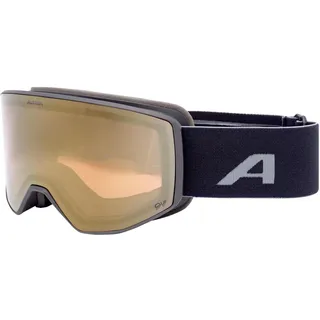 Alpina Venet QV Skibrille (Größe M, schwarz)