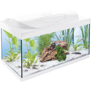 Tetra Starter Line 54,0 l Komplettaquarium mit Zubehör weiß