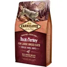 Adult Large Breed 2 kg