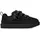 Black 36