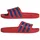 Better Scarlet / Team Royal Blue / Better Scarlet 42