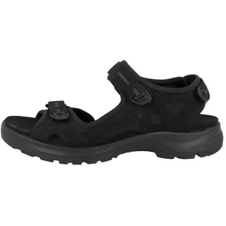 black 36