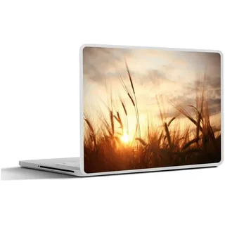 MuchoWow Laptop-Aufkleber Schilf - Gras - Sonnenuntergang - Natur - Horizont, (1tlg), Selbstklebendes Laptop Folien Cover, Sticker, Kratzschutz, 36x27 cm bunt Ø 45.65 cm x 36.5 cm x 27.5 cm