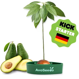 Garten Kleine Geschenke Für Frauen Und Männer - Besondere Geburtstagsgeschenk/Pflanzen Sie Ihren Eigenen Avocadobaum/Dekoration Für Ein Schöneres Zu Hause Pflanz Set