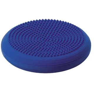 Dynair® Senso Ballkissen blau-lila 1 St